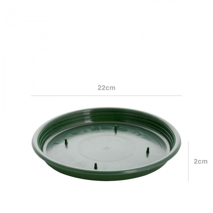 Tabuleiro para Esponja Redondo Verde 22X2cm Tabuleiro para Esponja Redondo Verde 22X2cm