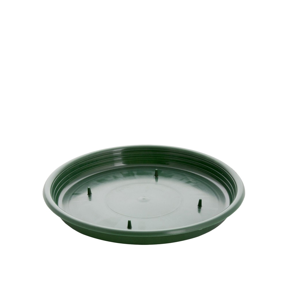 Tabuleiro para Esponja Redondo Verde 22X2cm