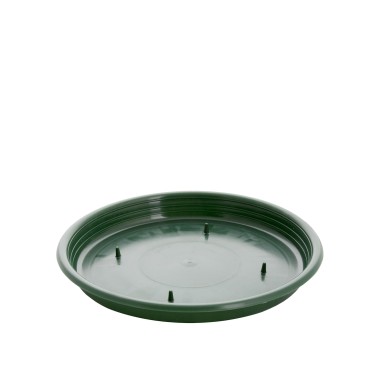 Tabuleiro para Esponja Redondo Verde 22X2cm