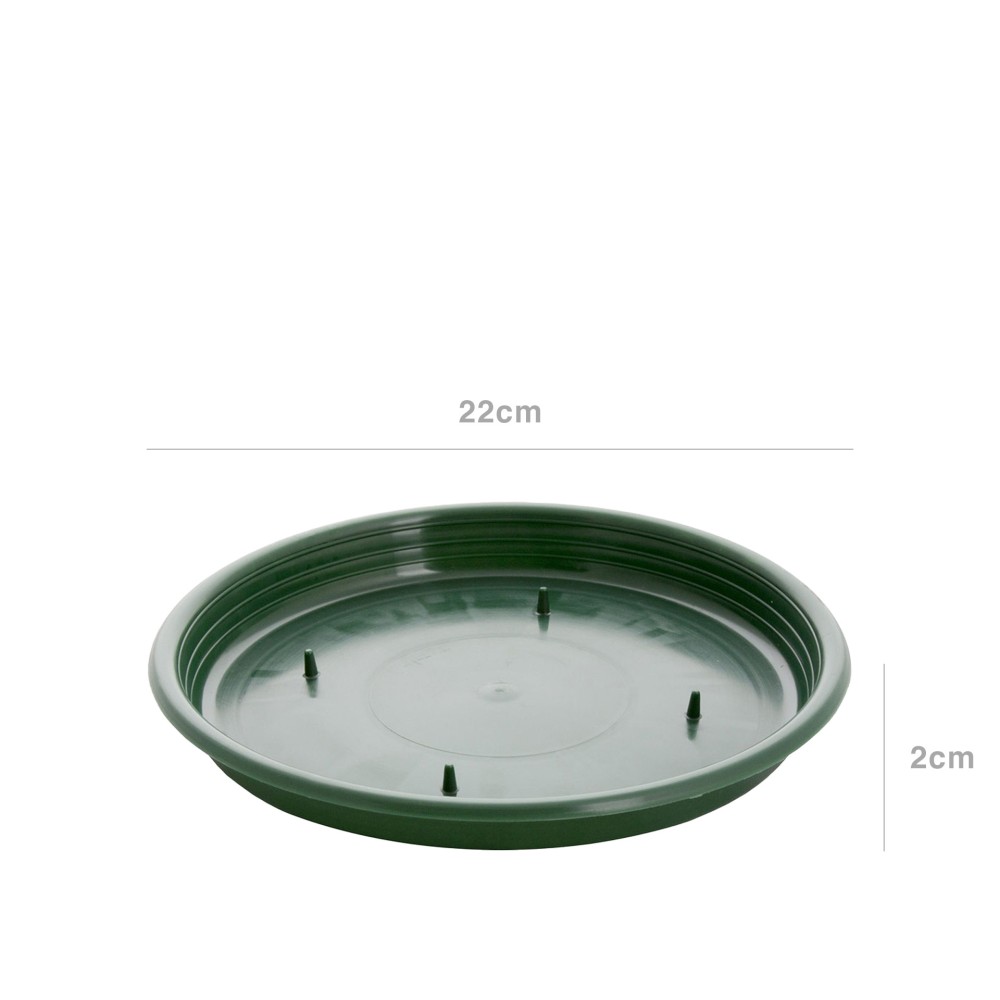 Tabuleiro para Esponja Redondo Verde 22X2cm