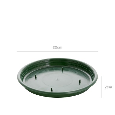 Tabuleiro para Esponja Redondo Verde 22X2cm