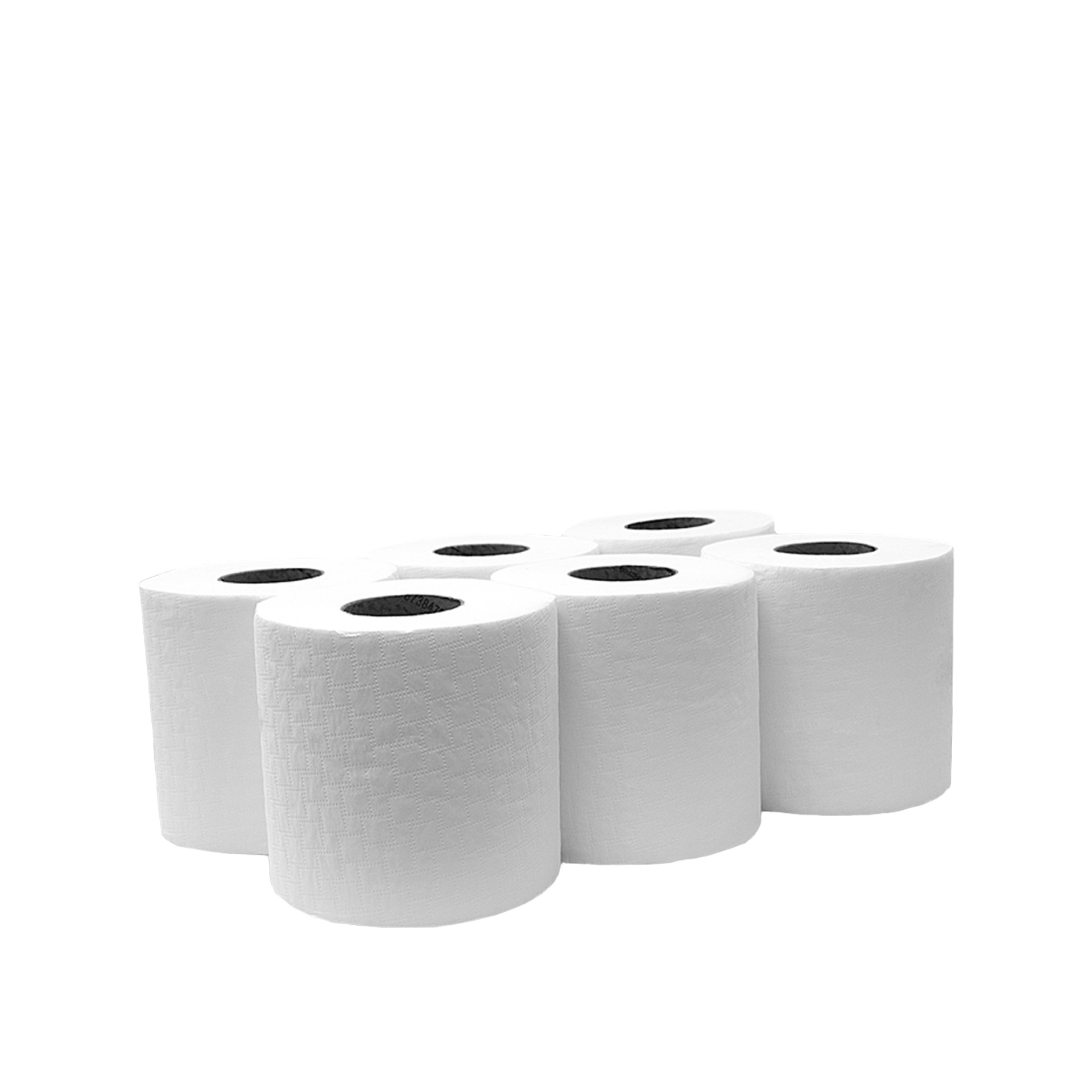 Rolo Papel Multiusos Profissional 300 Serviços 90m Pack 6