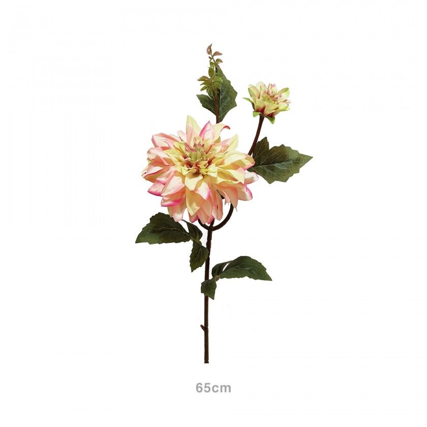 Haste Dlia com Boto Rosa / Verde 65cm