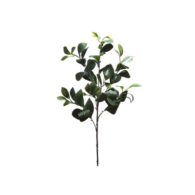 Haste Peperômia 85cm