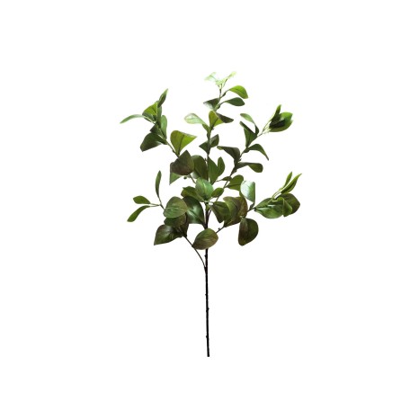 Haste Peperômia 85cm - Image product