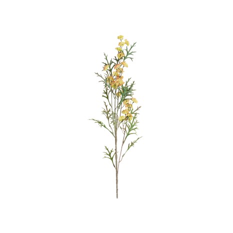 Haste Mini Skimmia Verde 92cm - Image product