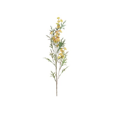 Haste Mini Skimmia Verde 92cm