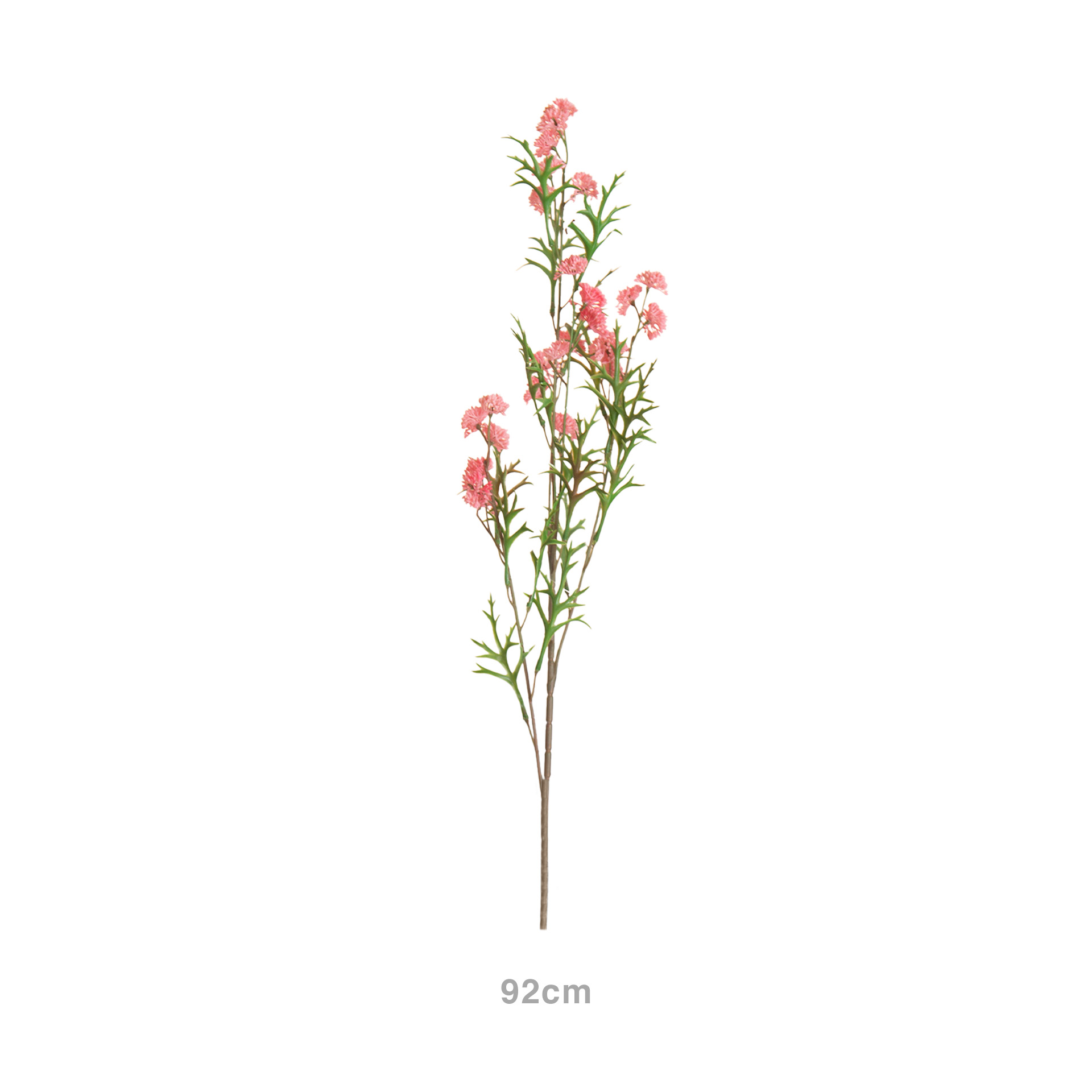 Haste Mini Skimmia Rosa 92cm