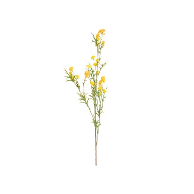 Haste Mini Skimmia Amarelo 92cm