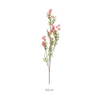 Haste Mini Skimmia Rosa 92cm