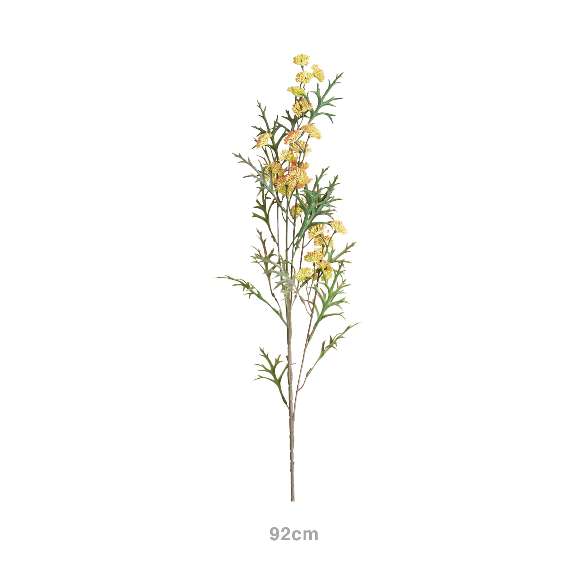 Haste Mini Skimmia Verde 92cm