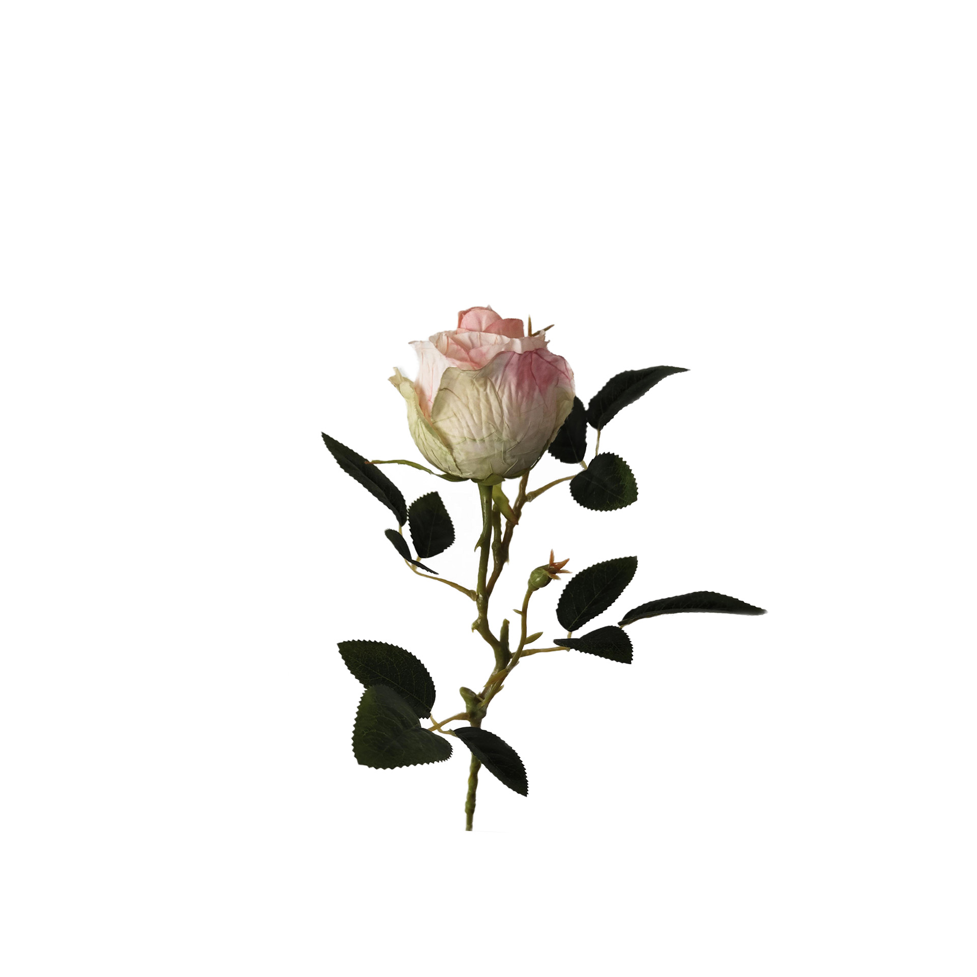 Botão Rosa Amarelo 53cm