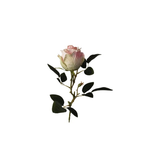 Botão Rosa Amarelo 53cm - Image product