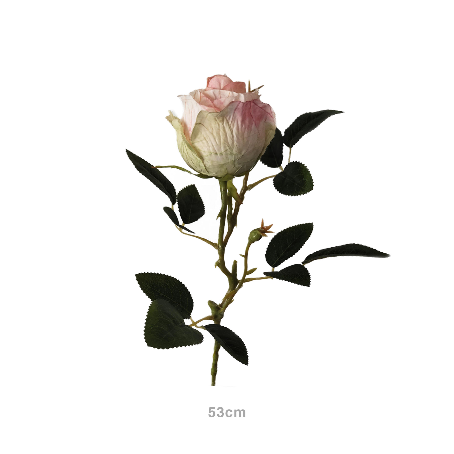 Botão Rosa Amarelo 53cm