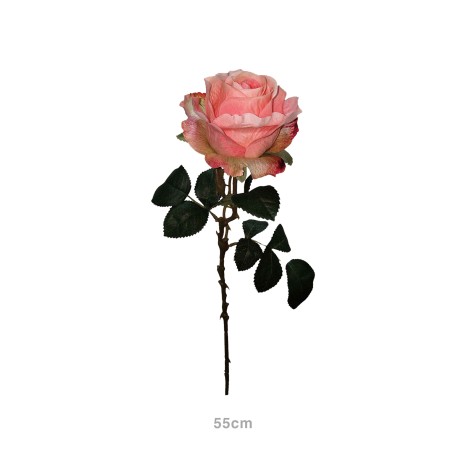 Haste Rosa Lincoln Rosa 55cm - Image product