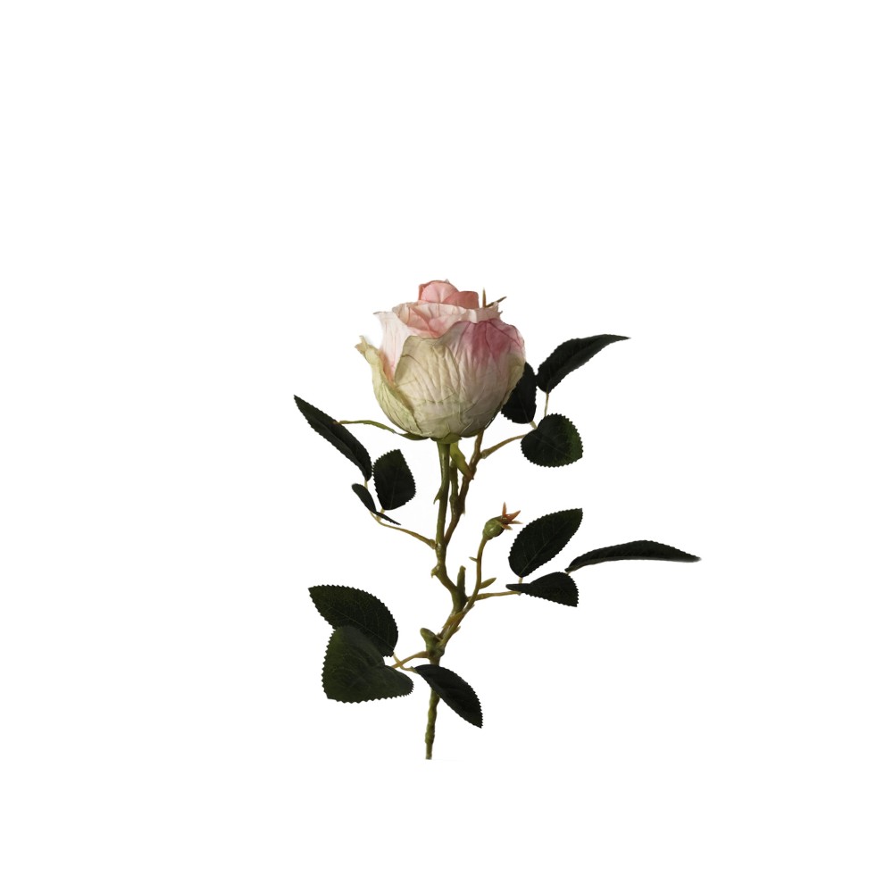 Botão Rosa Amarelo 53cm