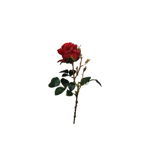 Haste Rosa Lincoln Vermelho 55cm - Image product