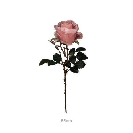 Haste Rosa Lincoln Salmão 55cm - Image product