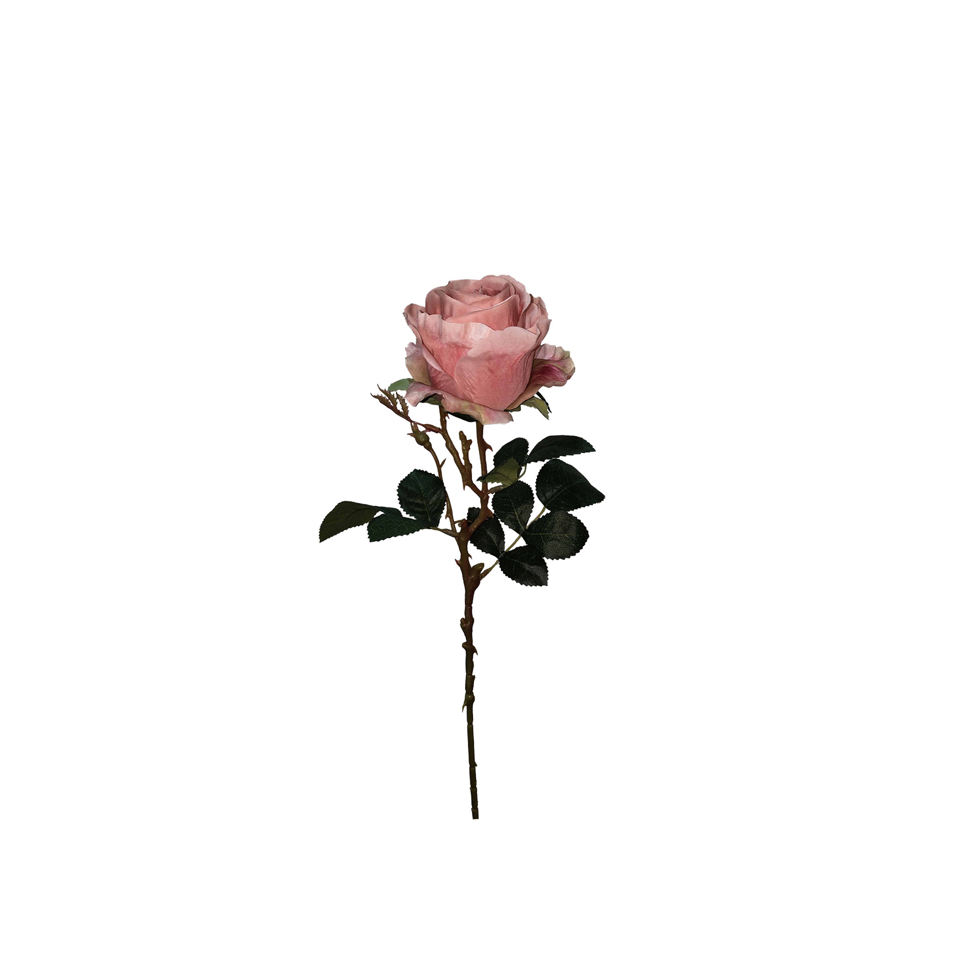 Haste Rosa Lincoln Salmão 55cm