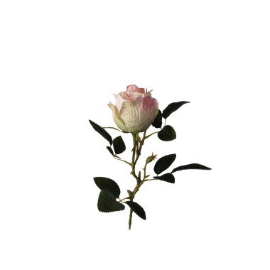 Botão Rosa Amarelo 53cm