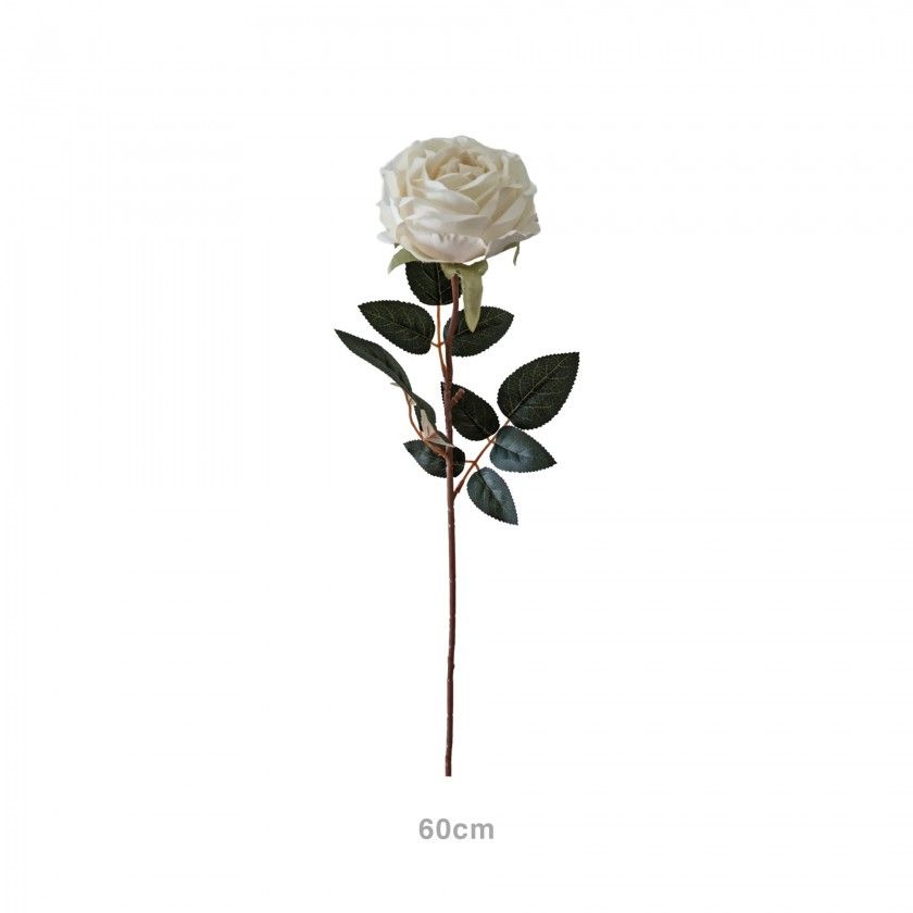Haste Rosa Ch Branco 60cm