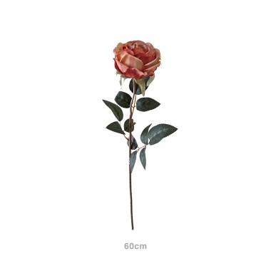 Haste Rosa Ch� Salm�o 60cm