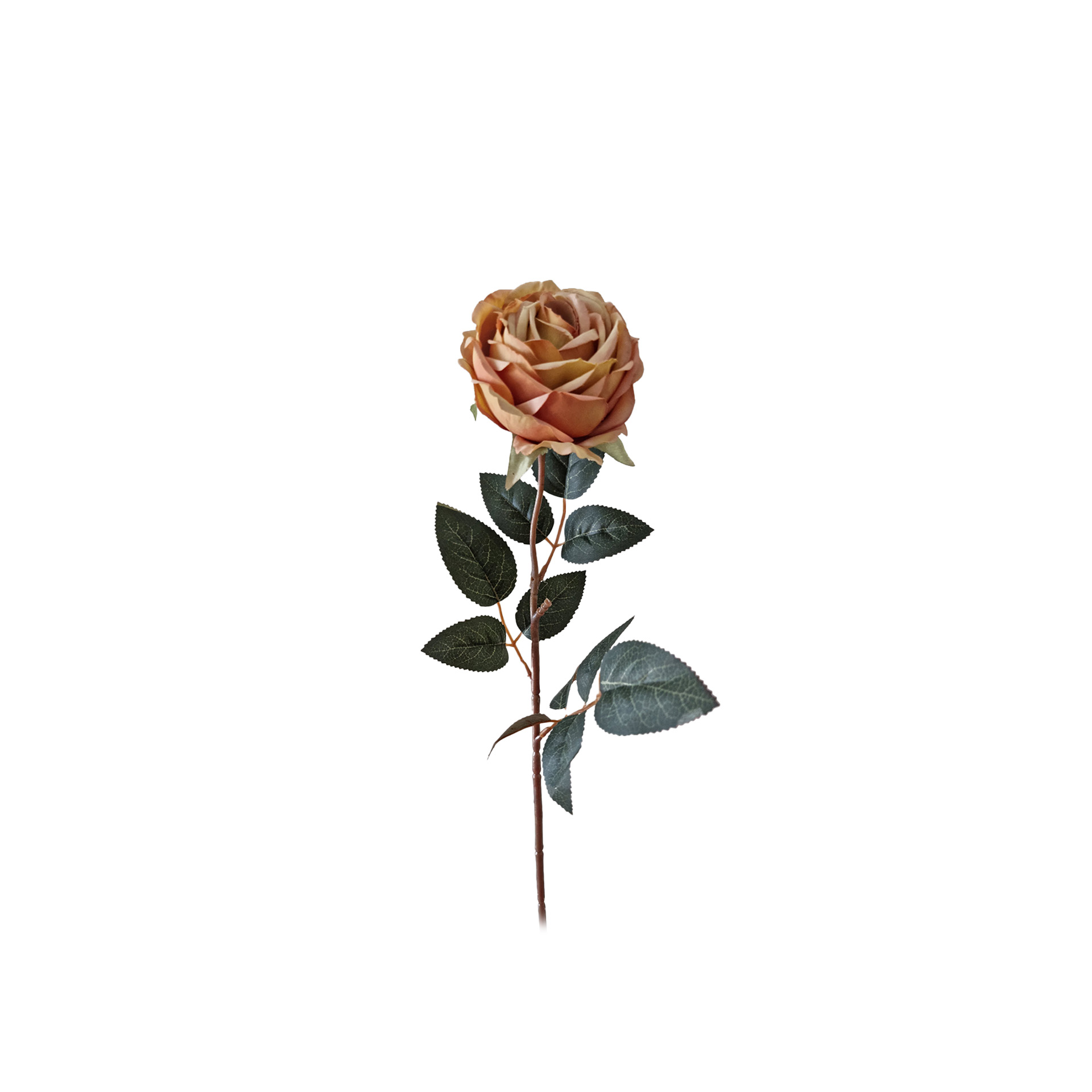 Haste Rosa Chá Amarelo 60cm