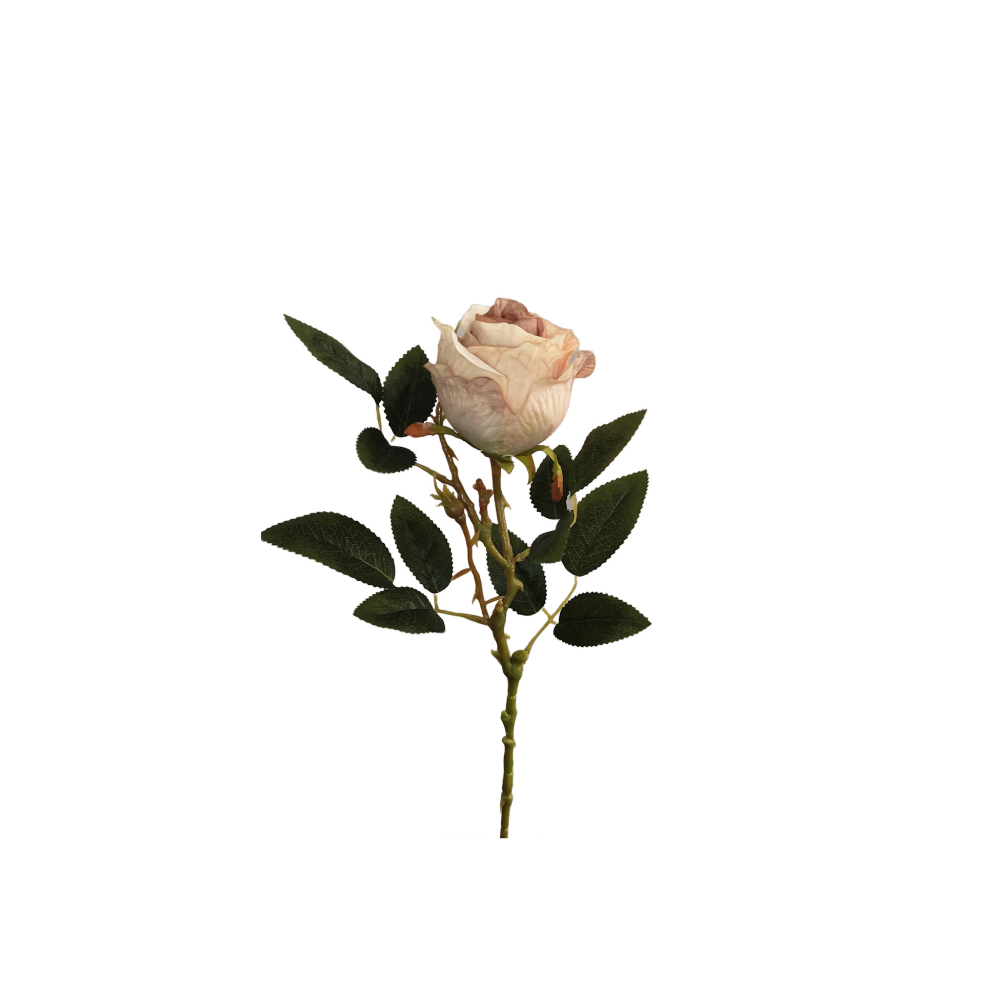 Botão Rosa Salmão 53cm