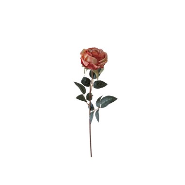 Haste Rosa Ch� Salm�o 60cm