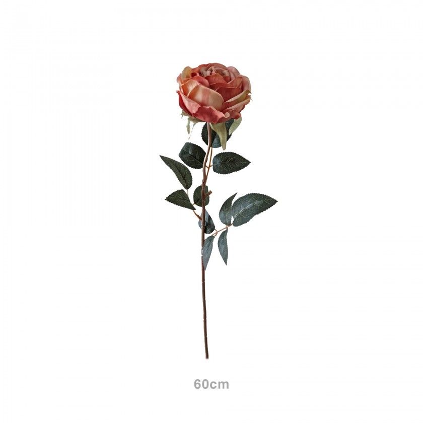 Haste Rosa Ch Salmo 60cm