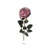 Haste Rosa Ch Violeta 60cm