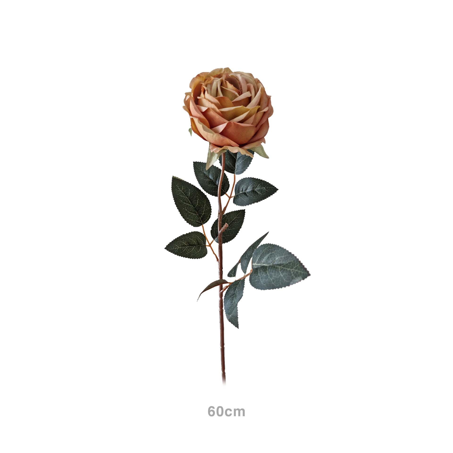 Haste Rosa Chá Amarelo 60cm