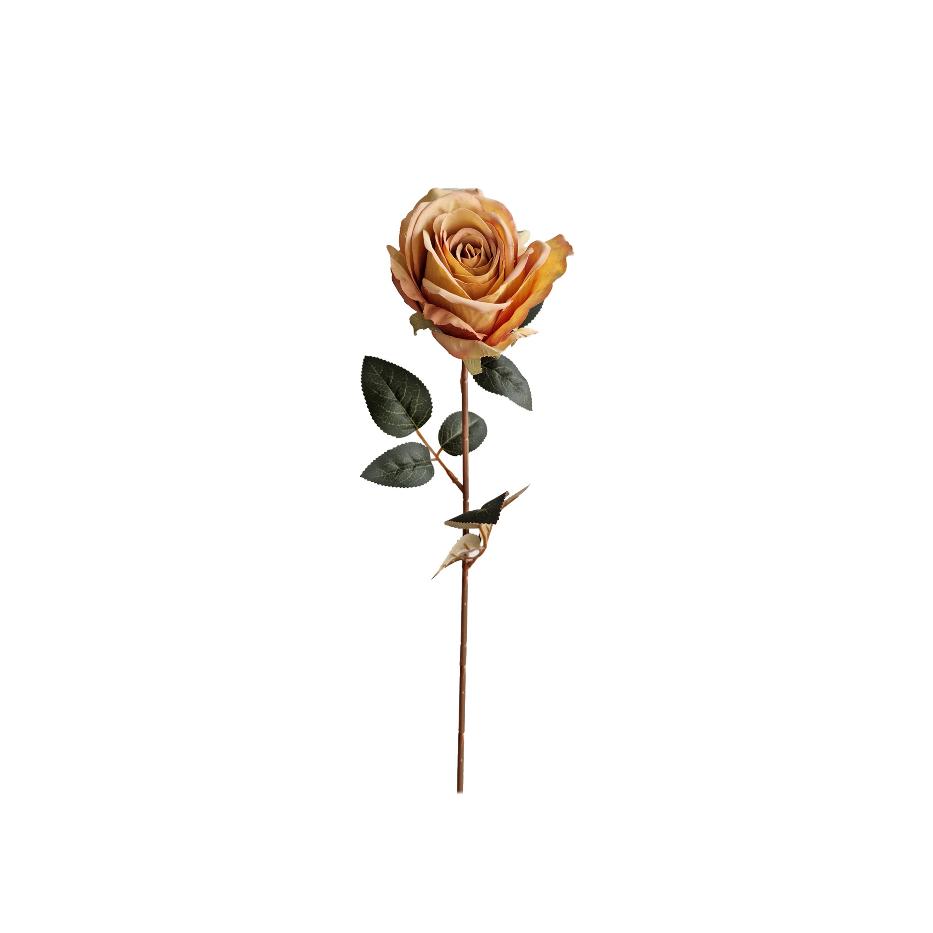 Haste Rosa Amarelo 75cm