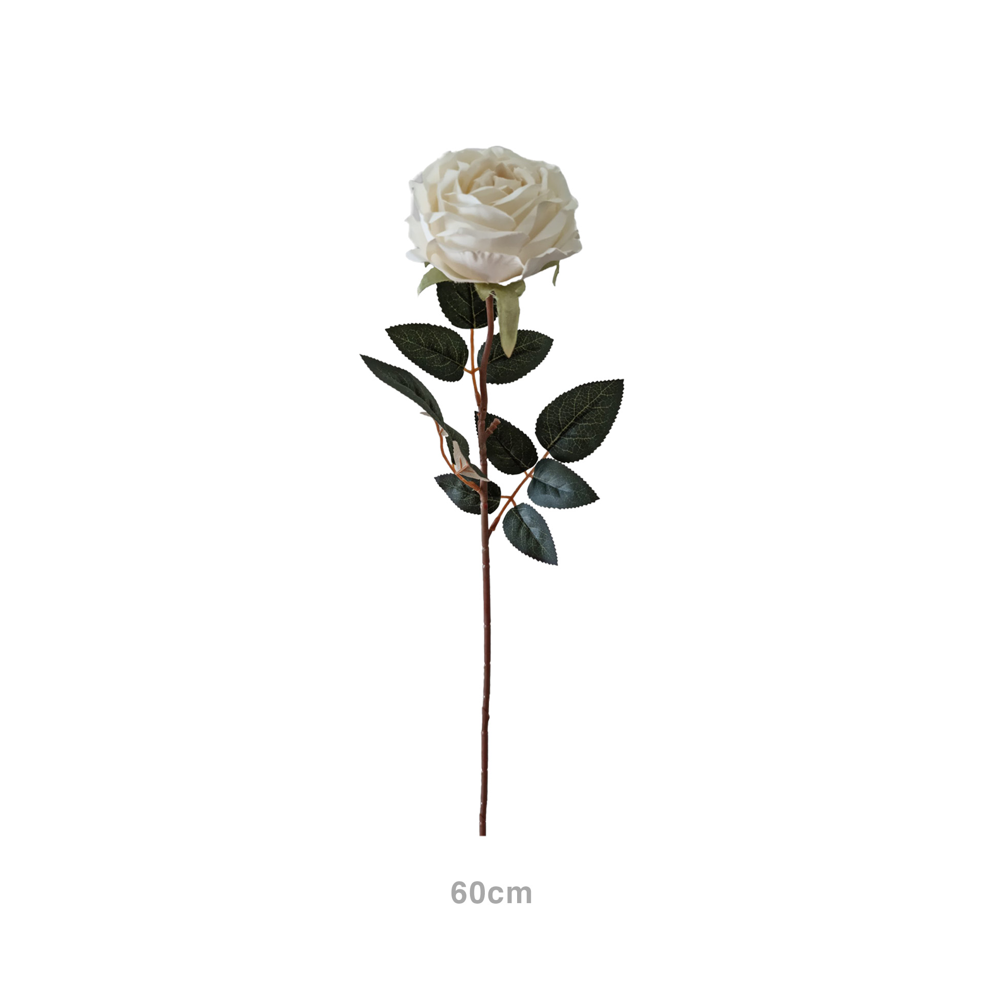 Haste Rosa Chá Branco 60cm