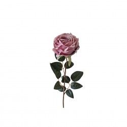 Haste Rosa Ch Violeta 60cm