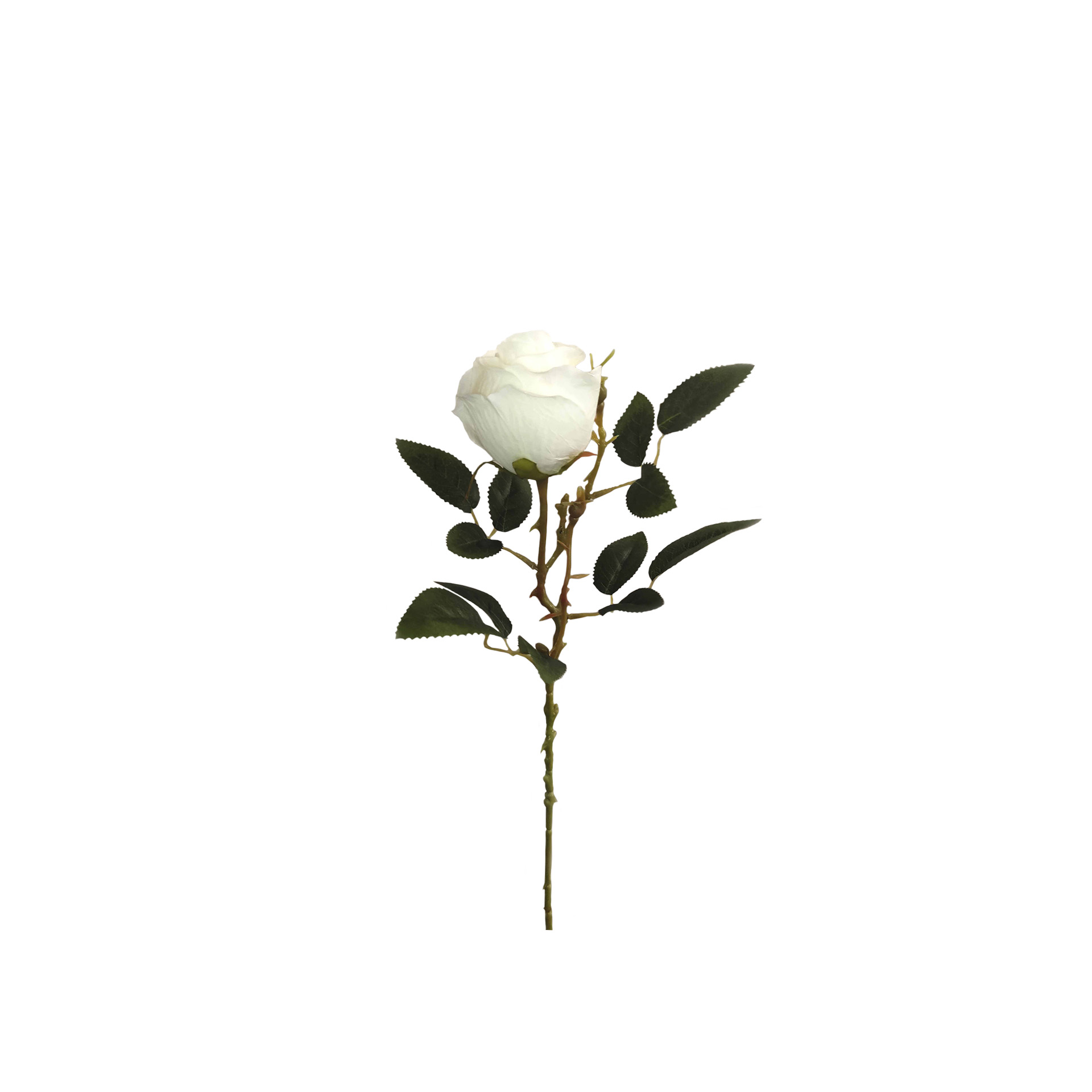 Botão Rosa Branco 53cm
