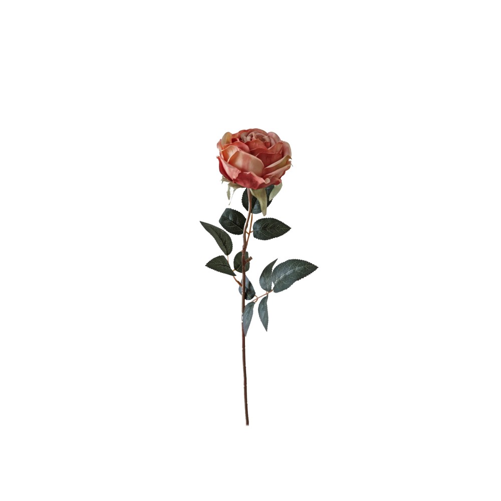 Haste Rosa Ch� Salm�o 60cm