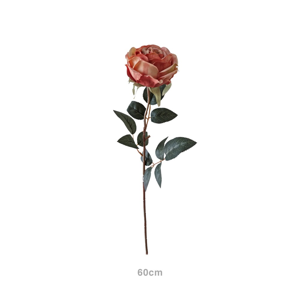 Haste Rosa Ch� Salm�o 60cm