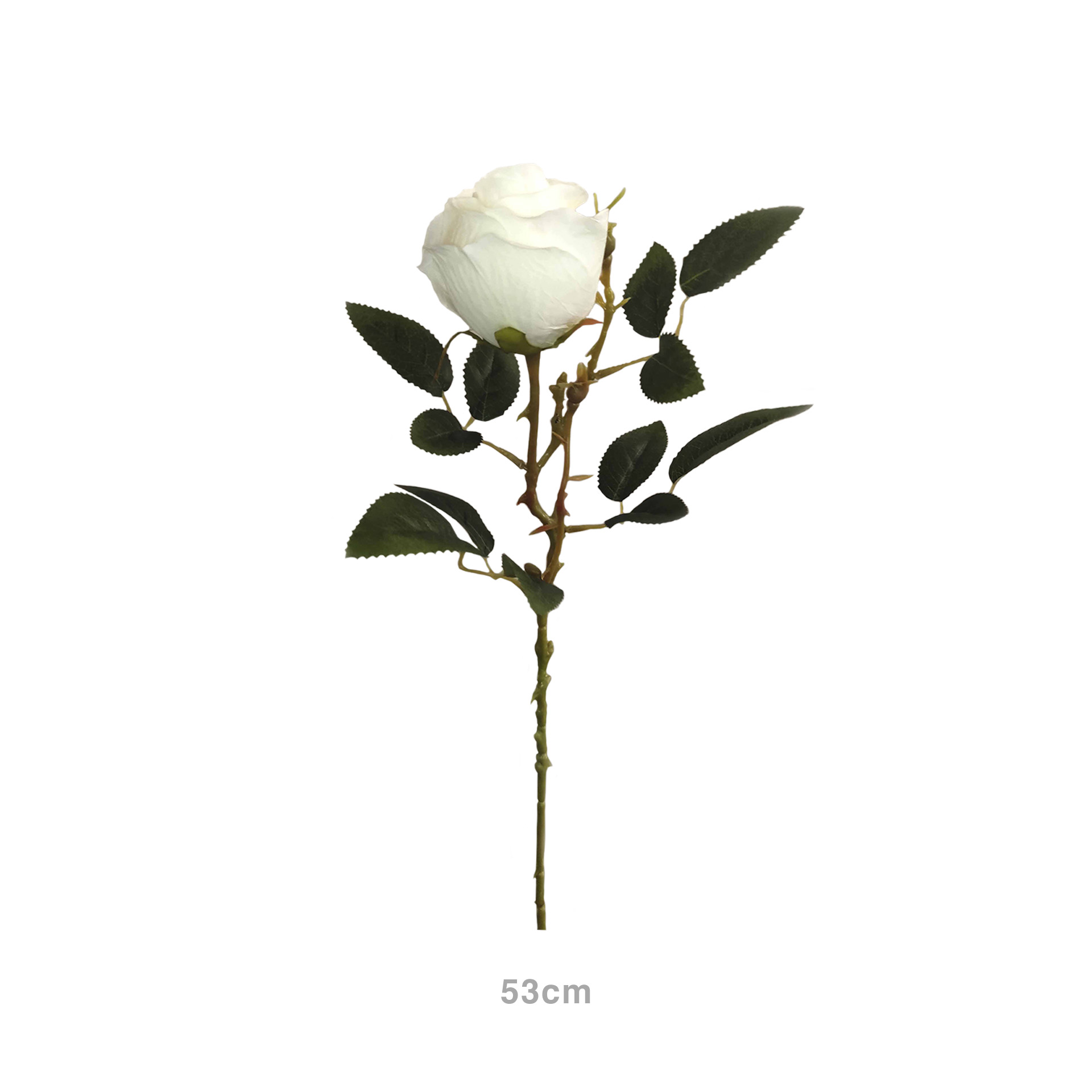 Botão Rosa Branco 53cm