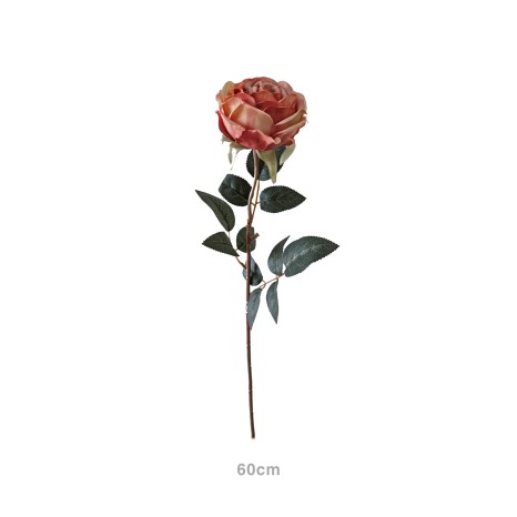 Haste Rosa Ch� Salm�o 60cm - Image product