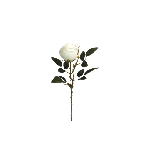Botão Rosa Branco 53cm - Image product