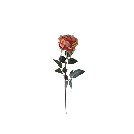 Haste Rosa Ch� Salm�o 60cm - Image product