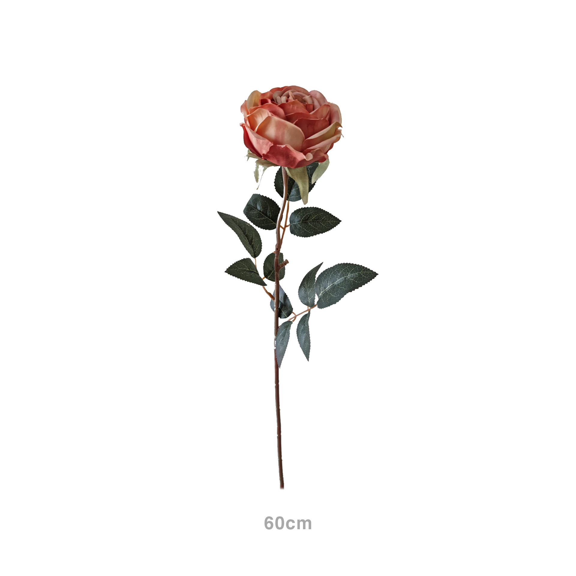 Haste Rosa Chá Salmão 60cm