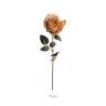 Haste Rosa Amarelo 75cm