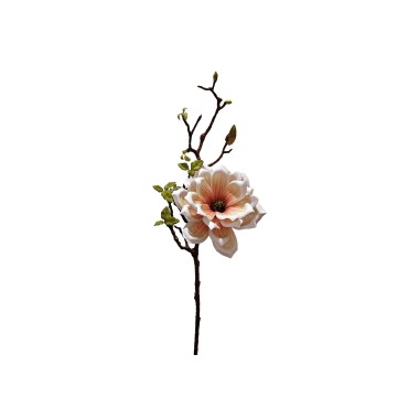 Haste Magn�lia Laranja 72cm