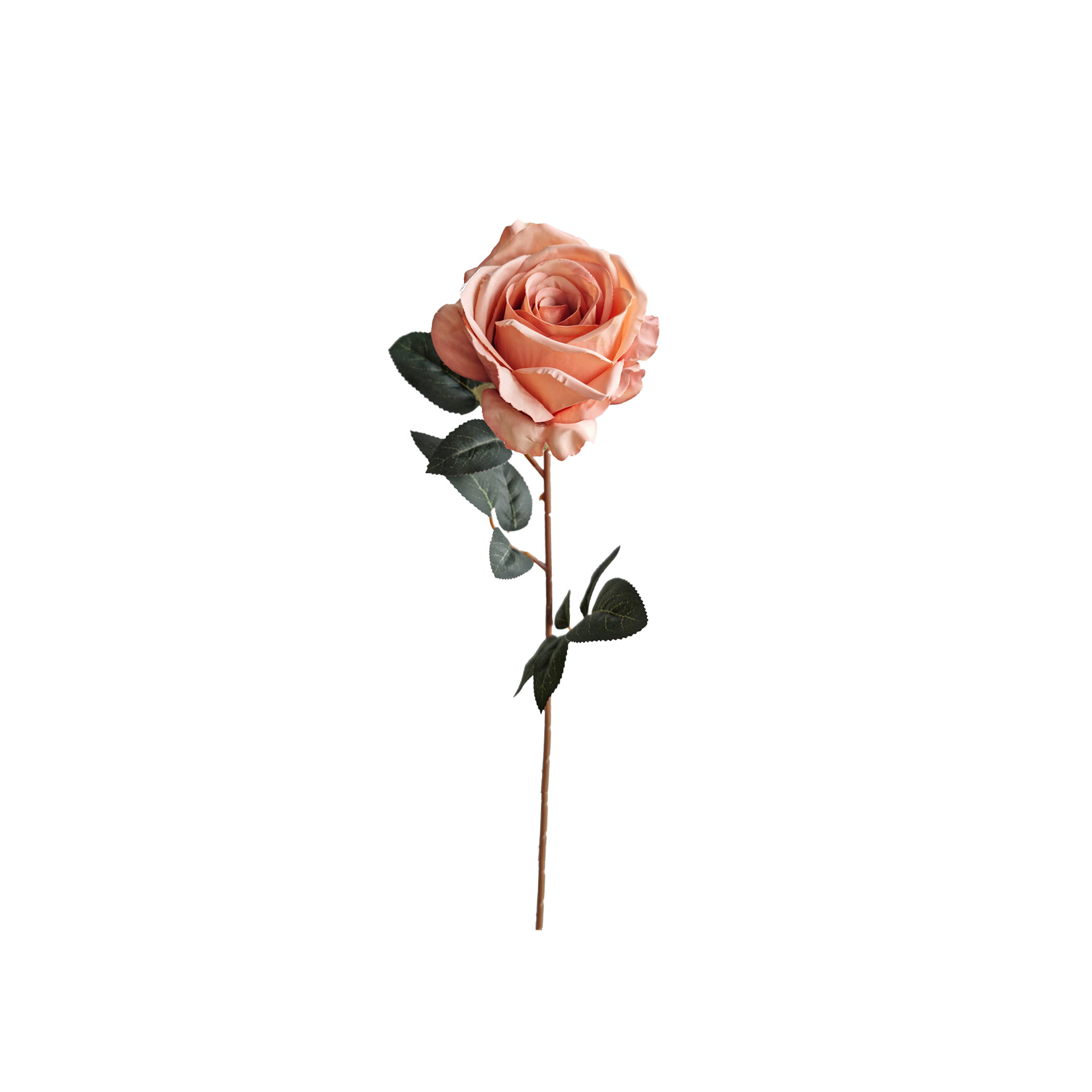 Haste Rosa Salmão 75cm
