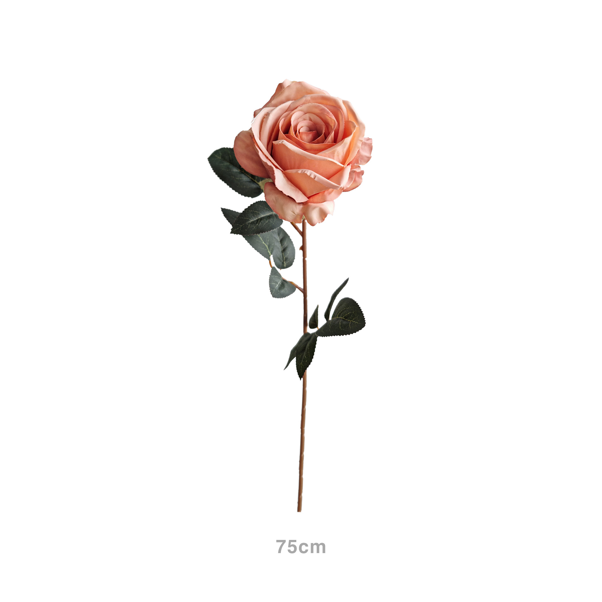 Haste Rosa Salmão 75cm