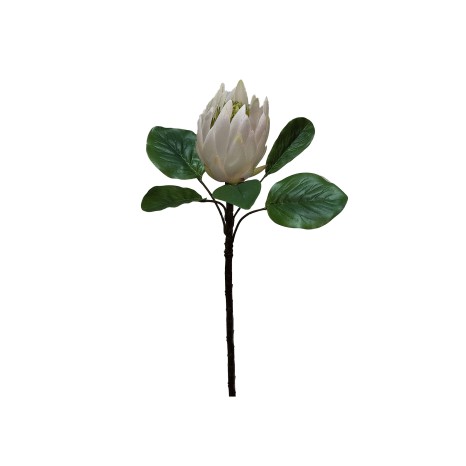 Haste Protea Branco 80cm - Image product