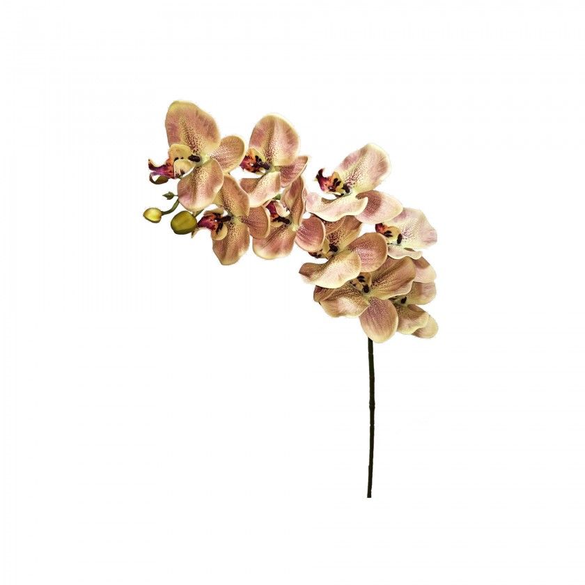 Haste Orqudea Verde 90cm