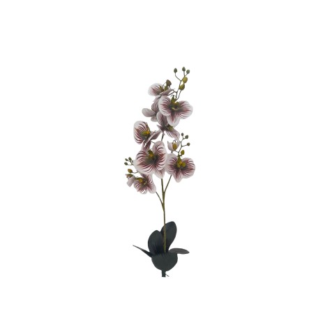 Haste Orquídea com 3 Folhas Verde / Branco 65cm - Image product